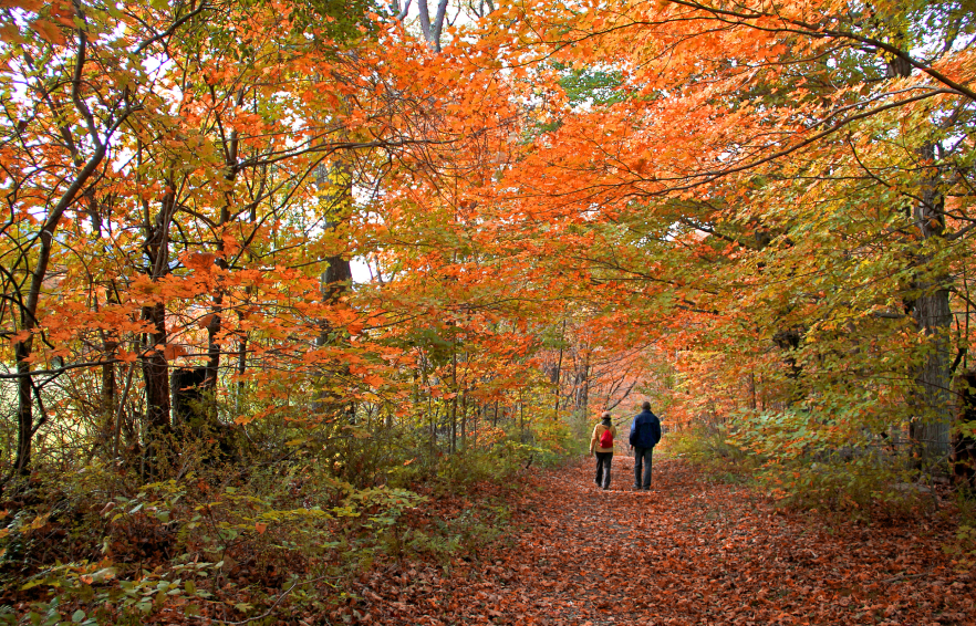 Carousel Desktop Seasonal