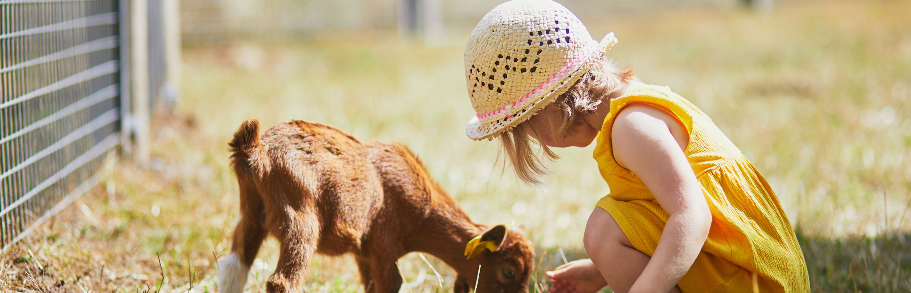 Inner Desktop Banner 2