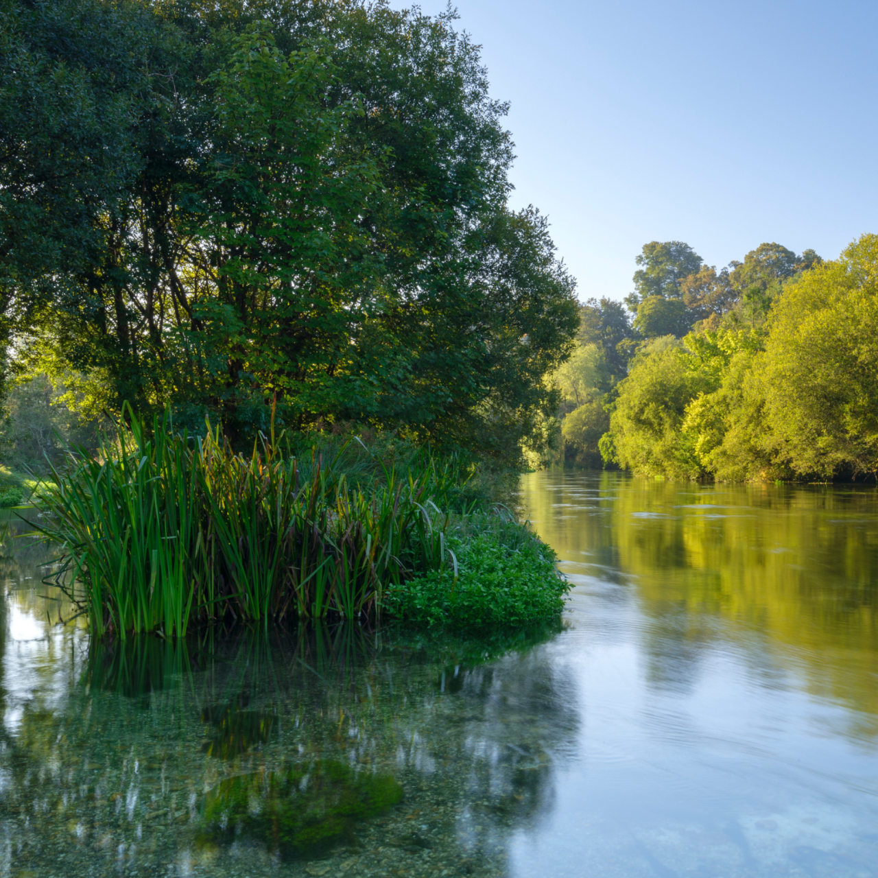 River Itchen 5050