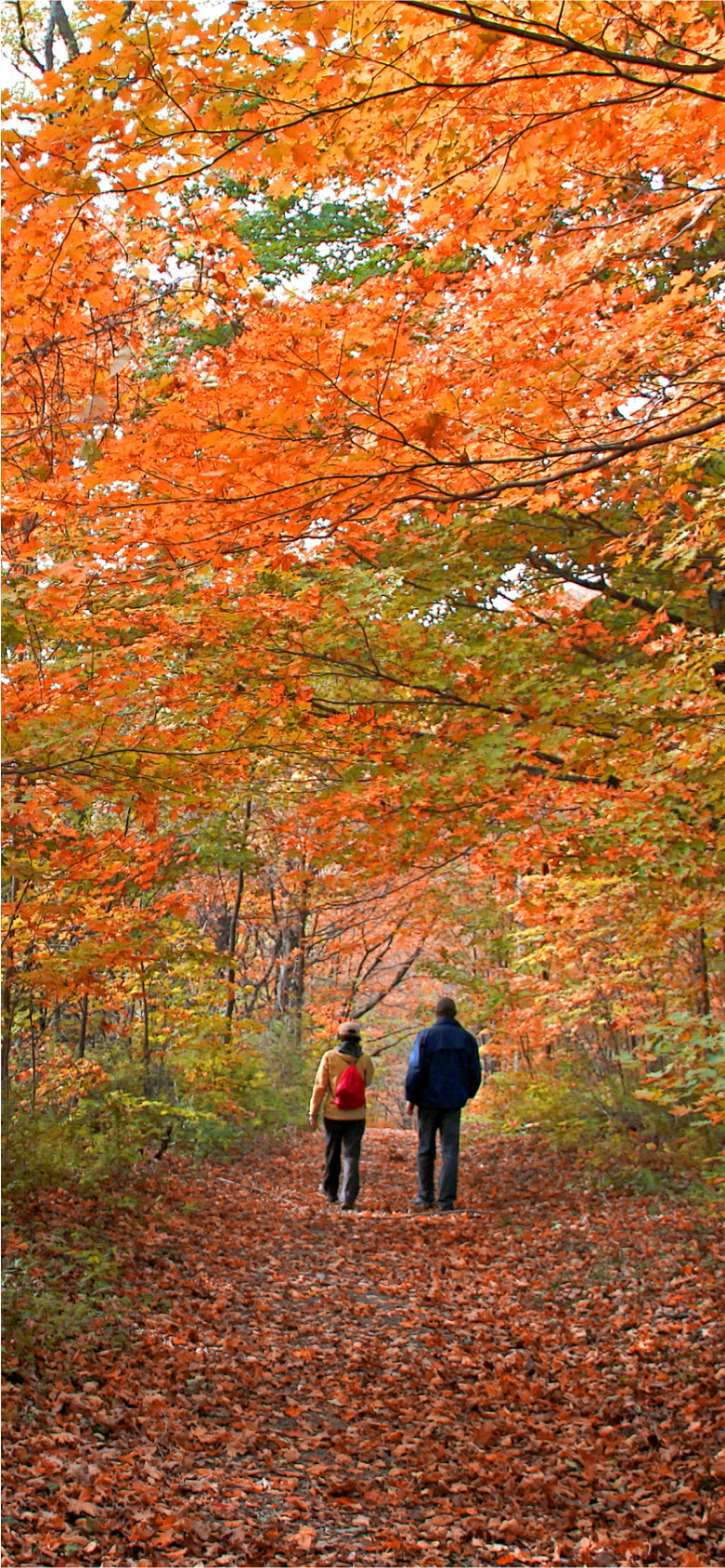 Inner Desktop Banner 1