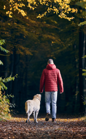 Walks in Hampshire