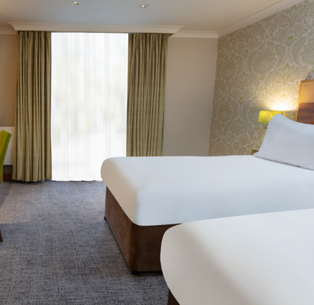 DELUXE TWIN ROOM