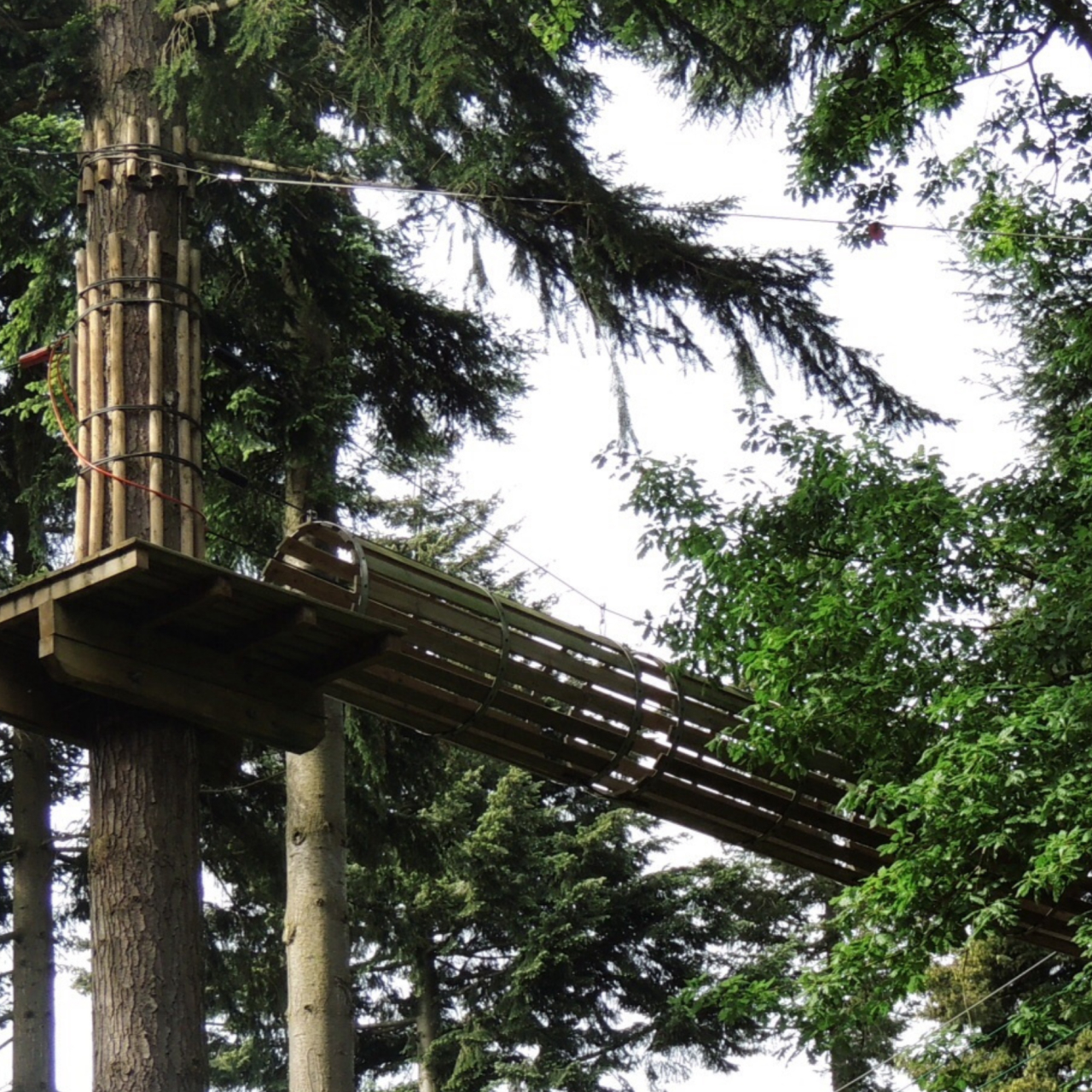 Go Ape 5050